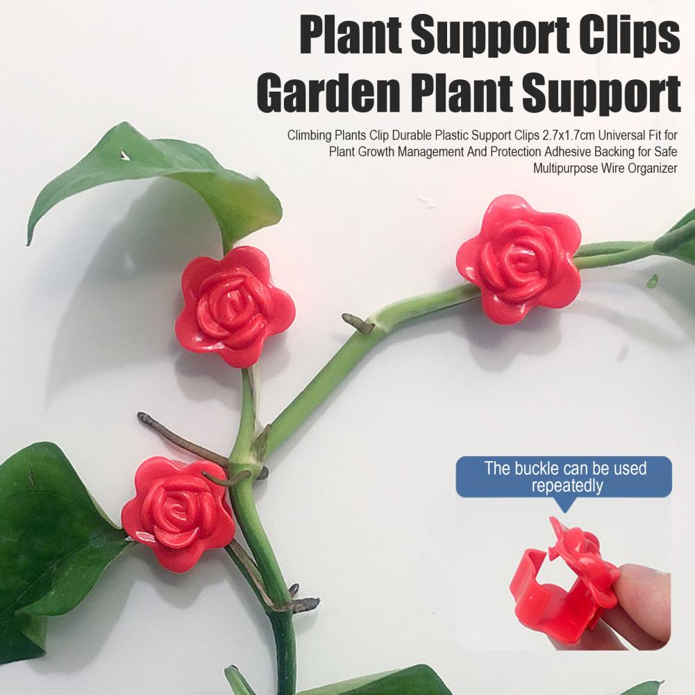 Plant Support Clips Climbing Plants Clip Self-adhesive Rose Plant Climbing Wall Fixture Clips Set for Wall Climbing