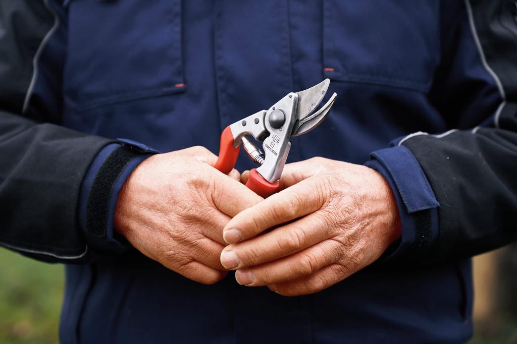Felco Model 15 Red Secateurs,