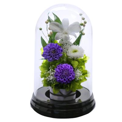 Art for Seasons Gedroogde Bloemen (Lila)