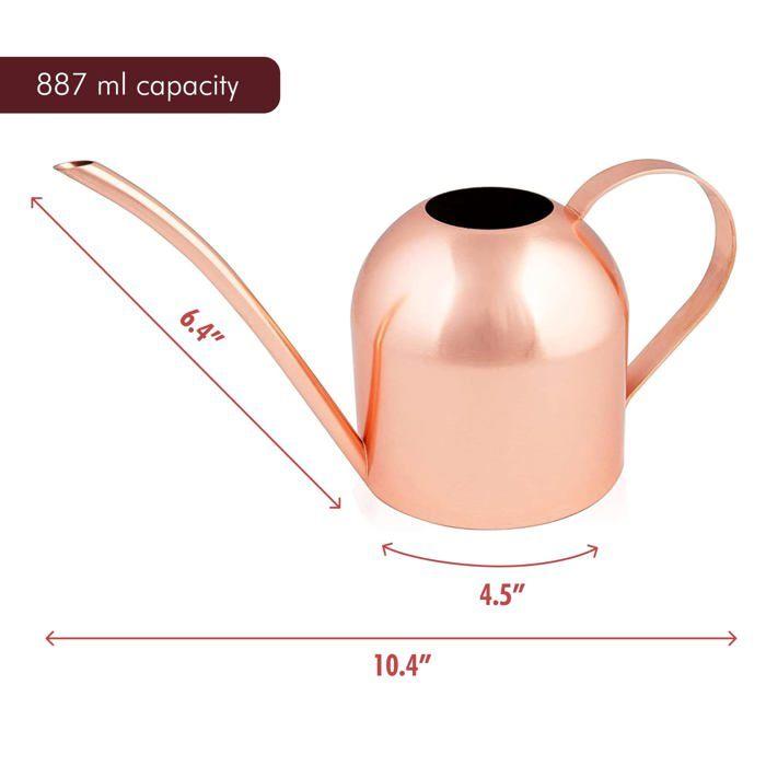 Arrosoir inox 0,9 L (30 oz) - Bec long, anti-corrosion, pour plantes d'intérieur