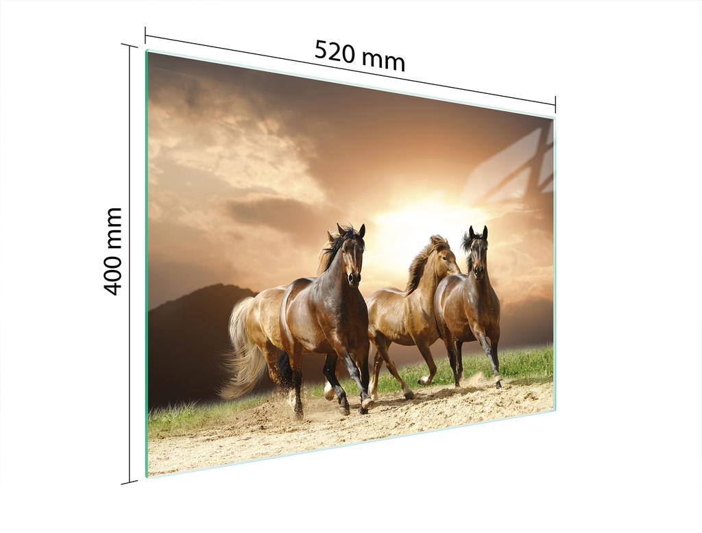 SZKLANA DESKA DO KROJENIA 52x40 KONIE