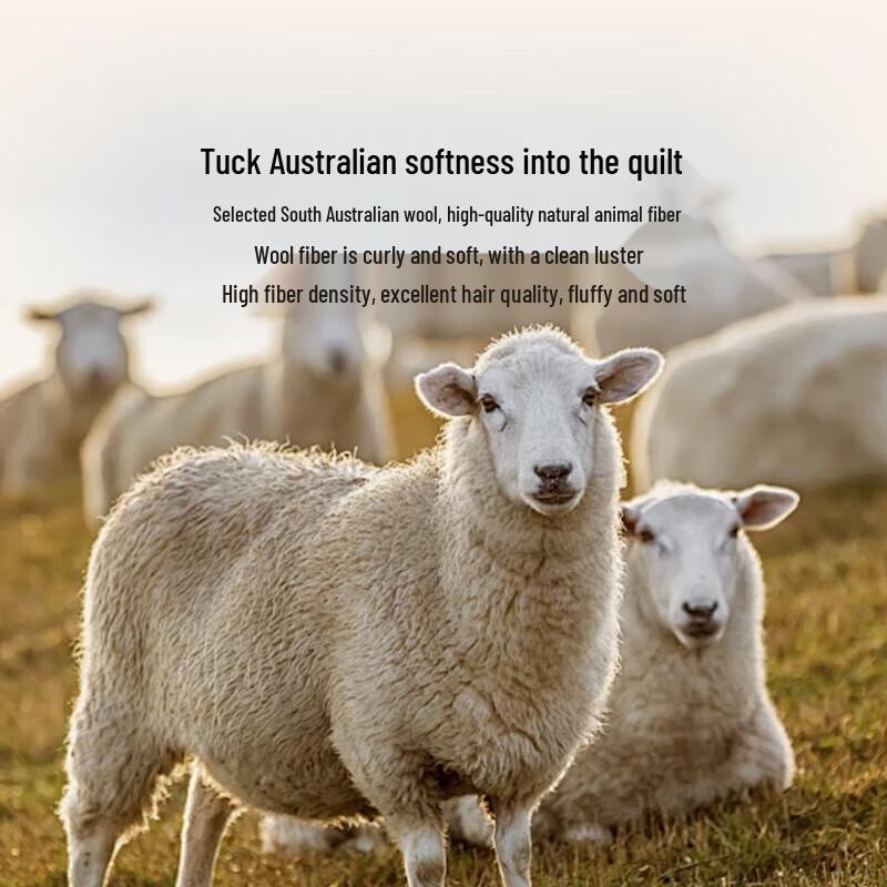 Luolai Australian Imported Anti-Mite & Antibacterial All-Season Wool Quilt