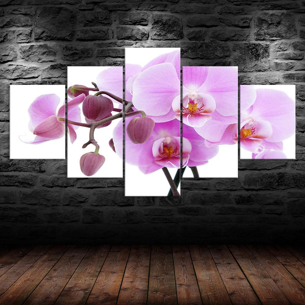 Rosa Orchideenblüte Weißer Hintergrund 5-teilig Fünf-Panel Wand Leinwanddruck Modernes Kunstposter Bild Heimdekoration Geschenk für Ihn Für Sie
