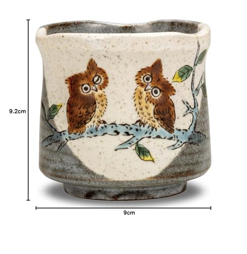 Waza no Kura Stylish Kutani Ware Teacup with Owl Design, Large, Ceramic, Brand Name, Japanese Tableware, Made in Japan, Perfect as a Birthday Gift, 60