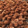 Kiefernzapfen Weihnachtsdekoration: Kiefernzapfen & Trockenblumen DIY Set