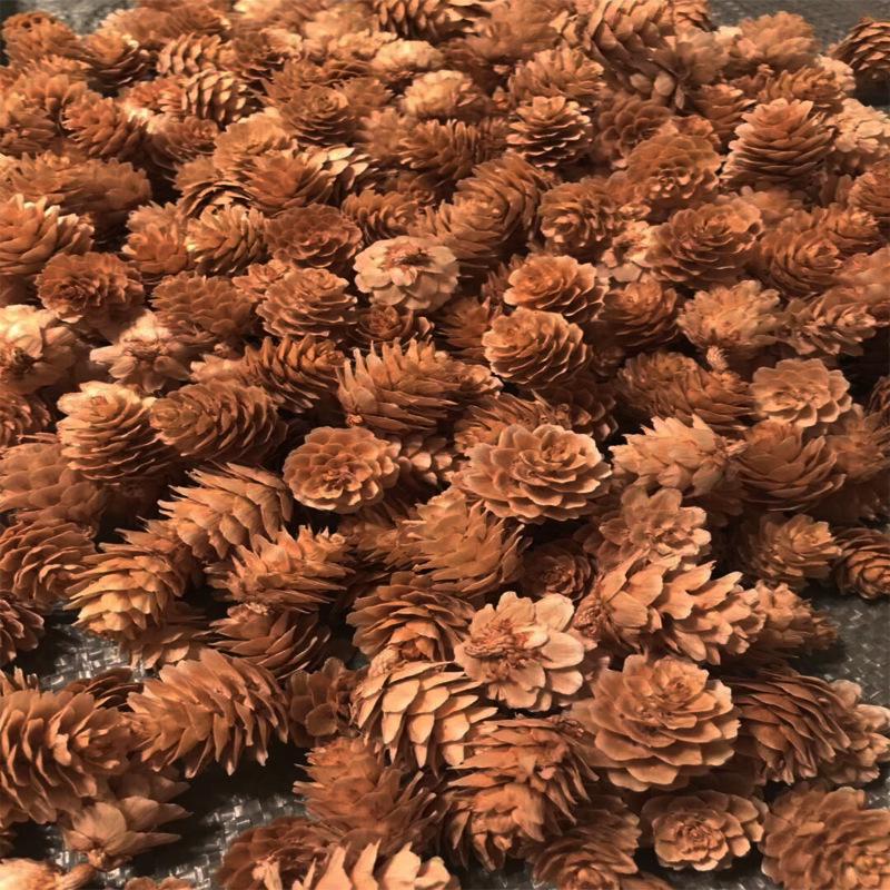 Kiefernzapfen Weihnachtsdekoration: Kiefernzapfen & Trockenblumen DIY Set