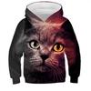 Autumn Cute Cat Pattern 3D Printed Hoodies Fashionable Casual Sports Long Sleeved Children's Boy Hooded Sweatshirts