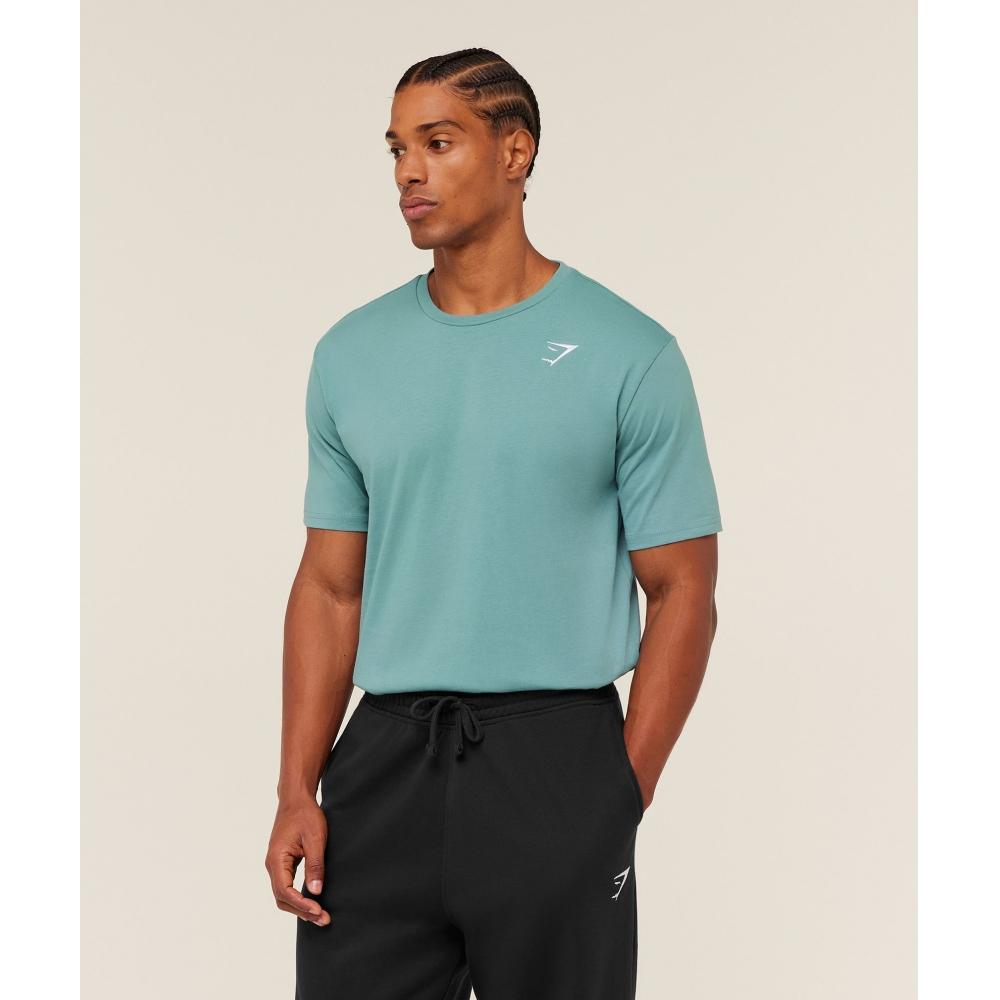 Gymshark CresT T shirT Gs sTorm Blue A1a3j Ud6x