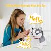 Leash Electric Walking Dog Toy Simulation Singing Puppy Toy Barking Plush Dog Toy Baby Craw Learning Toy Toddler Gift