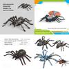Spider Model Set With Plastic Material For Home Decor And Gift For Nature Lovers