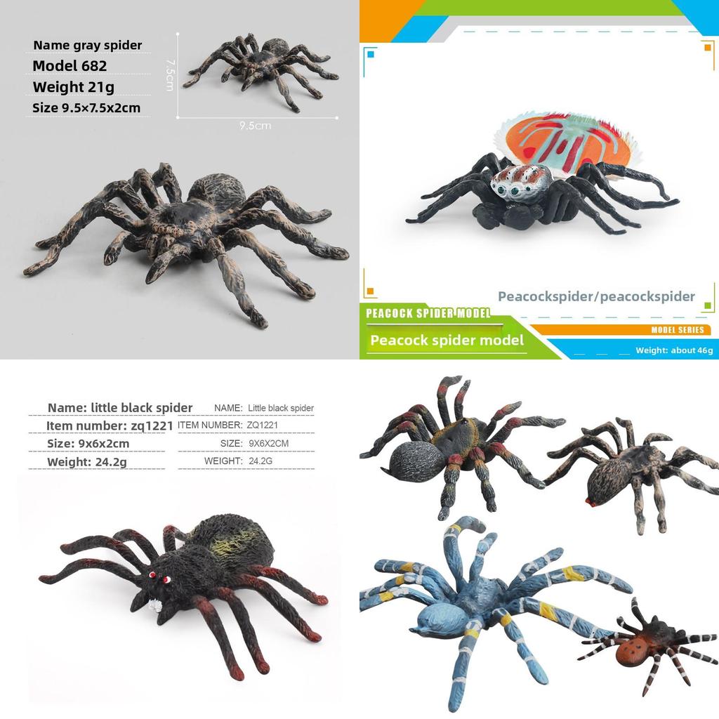 Spider Model Set With Plastic Material For Home Decor And Gift For Nature Lovers