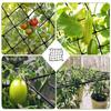 Elastic Climbing Plants Support Flexible Net Trellis Grow Tent Netting Hydroponic Growroom Scrog Net Gardening Accessories