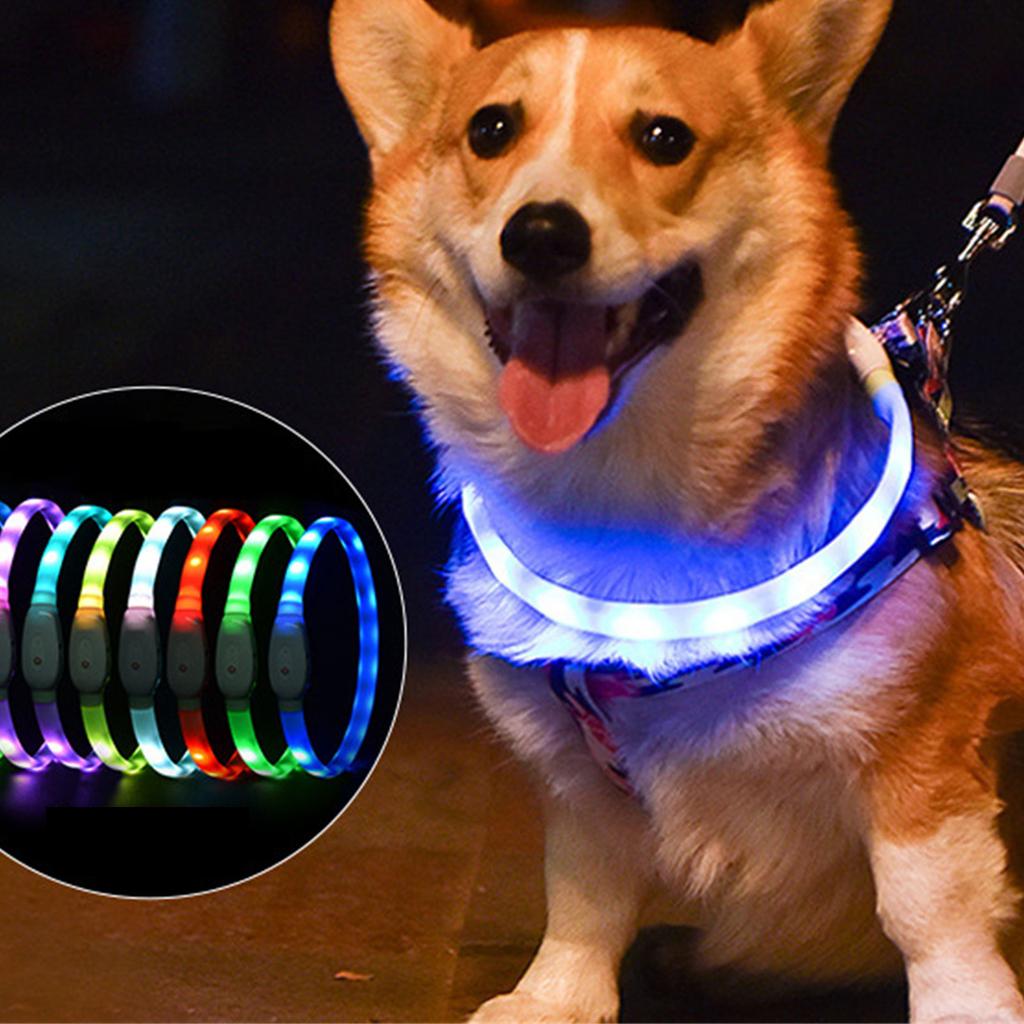 Glowing Pet Collar High Brightness LED Adjustable Light for Night Walks Pet Collar Light Accessories LED Light