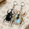 Porta-moedas, clips, porta-chaves – Chaveiros