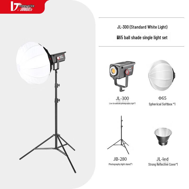 JINBEI JL300 LED Video Light