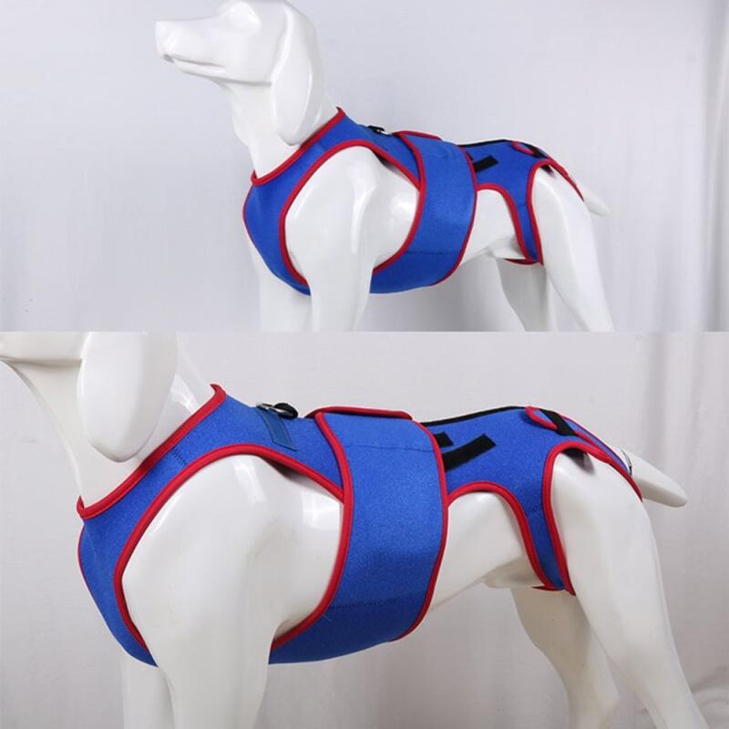 Dog Spinal Disc Support M M
