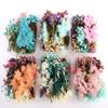 Schachteln Echte Trockenblumen Epoxidharz Trockenpflanzen Anhänger Für Aromatherapie Kerze Halskette Schmuckherstellung Basteln DIY Zubehör