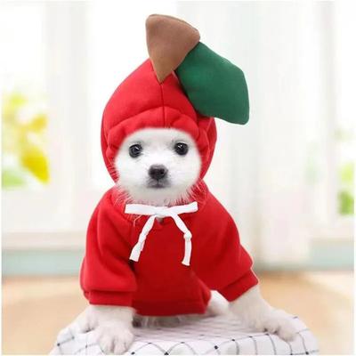 Haustier-Kapuzenjacke aus Baumwolle mit Cartoon-Muster, Kapuzenpullover für Hunde, Plüsch, Obstmantel für Katzen, Haustier, Herbst und Winter, warme Kleidung, Heimtierbedarf