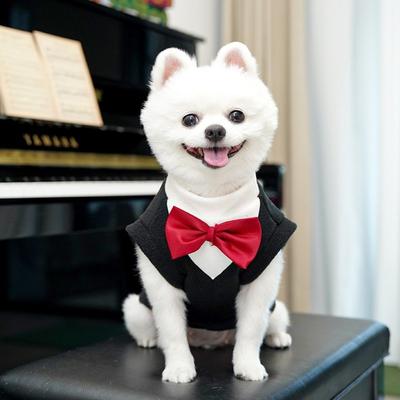 Tuxedo Élégant en Polaire pour Chien Vêtements Chauds Confortables Gilet Blazer pour Chien Tenue Formelle Queue de Pie pour Chien Prenez des Photos