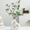 Yousheng 2 Pcs/Set Ceramic Vases Irregular Circular Cross Modern Boho Vase Minimalist Nordic Style Flower Vase for Tabletop Shelf Home Decor