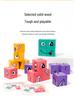 Iron Box Face-Changing Magic Cube Early Childhood Educational Puzzle Blocks
