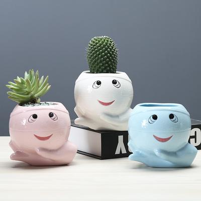 Cute Cartoon Succulent Flower Pot, Simple Creative Personalized Desktop Plant Decoration Ceramic Flower Pot