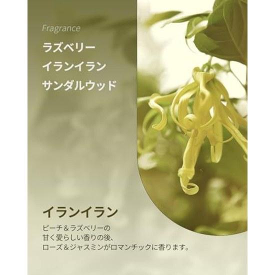 Kundal Ylang Scent Honey Macadamia Shampoo + Treatment (500ml Each) Long-lasting Fragrance Korean Hair Care
