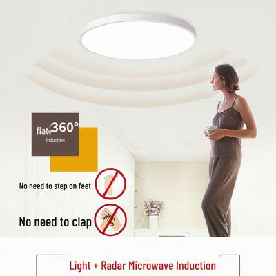 LED Microwave Radar Induction Ceiling Lamp with Voice Control for Balcony and Corridor