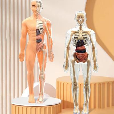 Objets de collection et modèles réduits – Modèles