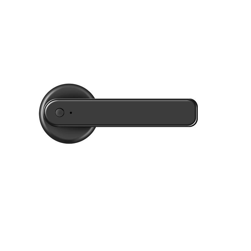 Fingerprint Lock for Indoor Bedroom/Office: Wooden Door Password & Smart Electronic Alloy Lock
