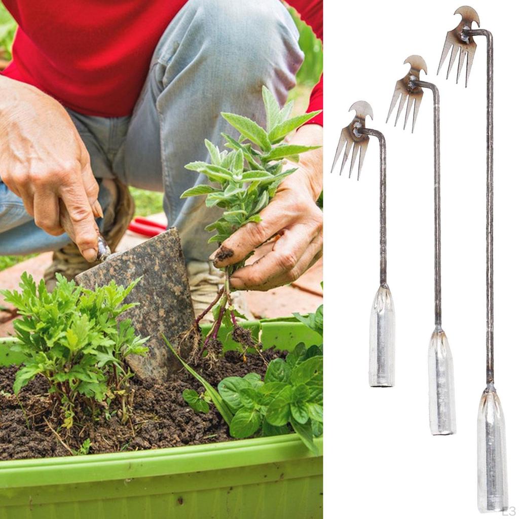 Garden Weeding Solution for Effortless