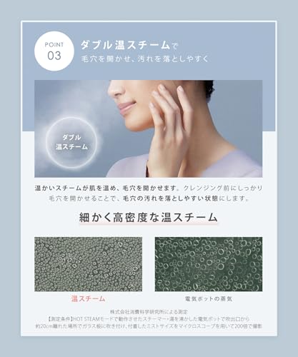 SALONIA Pure Bright Facial Steamer, Facial Steamer, Beige, Amazon.co.jp Exclusive