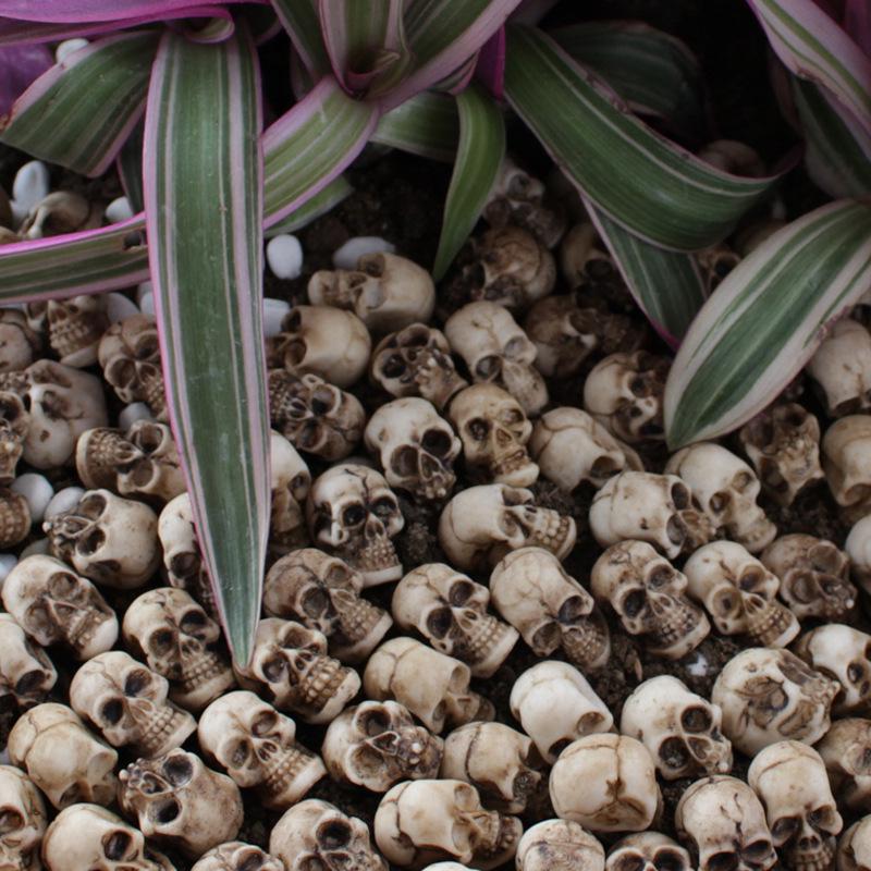 Skull Simulation Medium Set: Creative Flower Pot & Micro Landscape Paving Stone Ornaments.