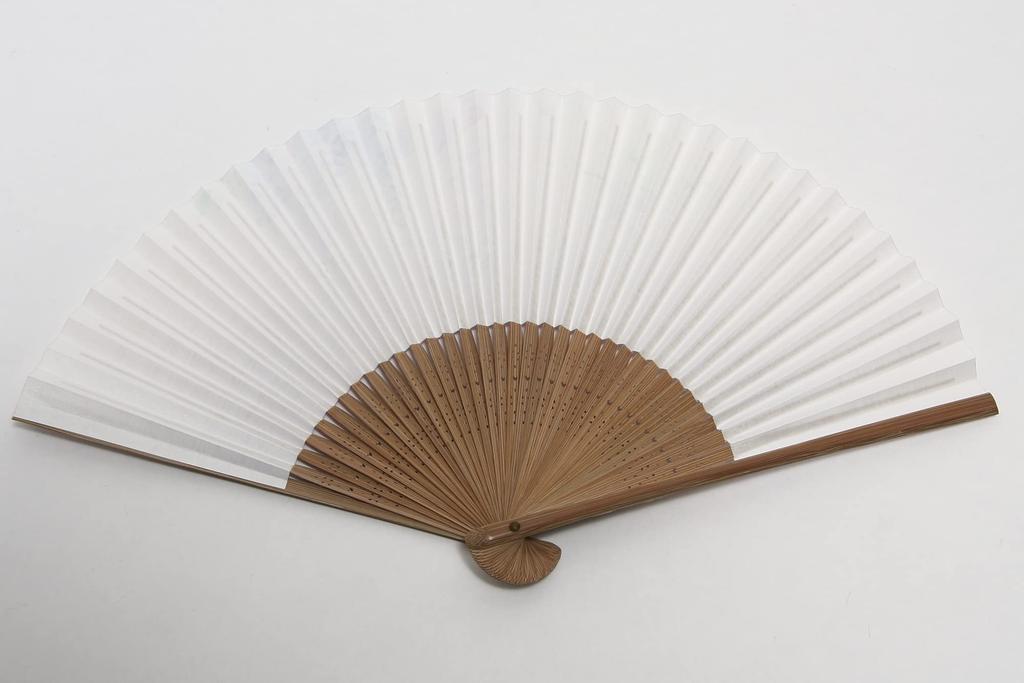 Hasegawa Women's Kyoto Fan with Pouch and Presentation Box (Wisteria)