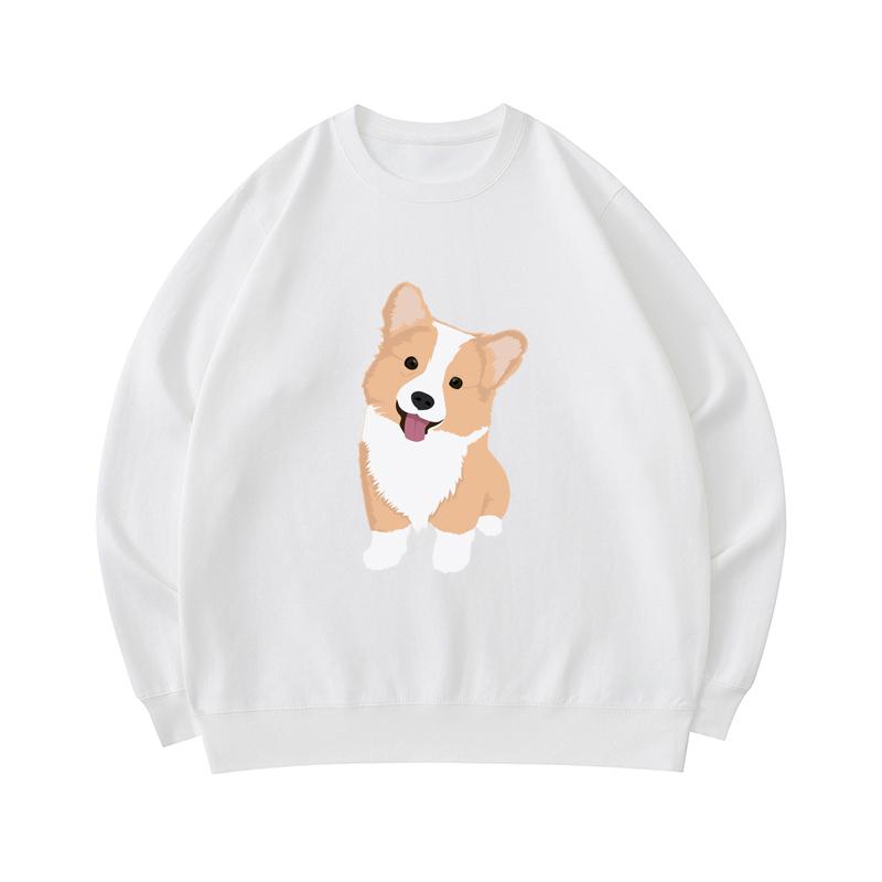 corgi in hoodie
