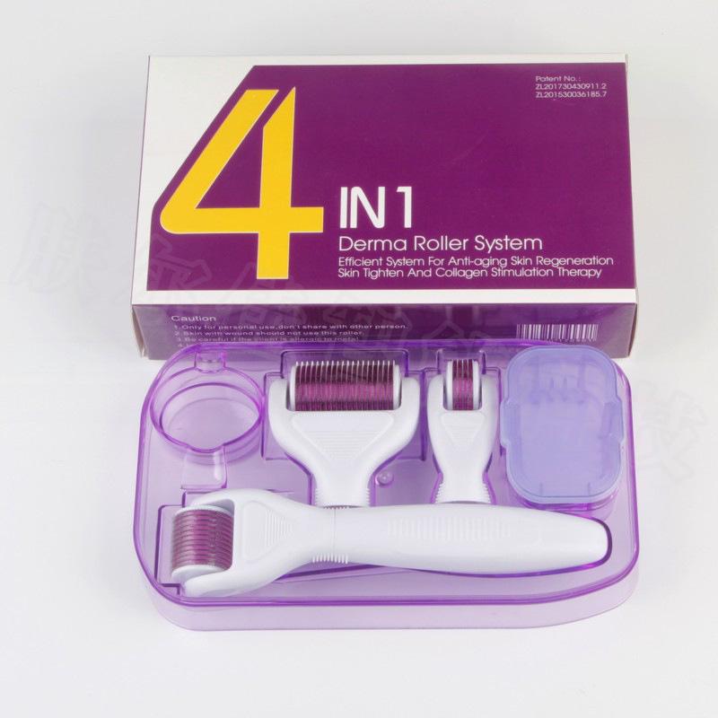 DRS 4-in-1 Microneedle Roller Set: Multifunctional Facial Care and Beauty Tool