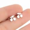 SMJEL Summer Cherry Earrings Ladies Stainless Steel Fruit Stud Earrings Small Watermelon Apple Pineapple Unique Zircon Gift