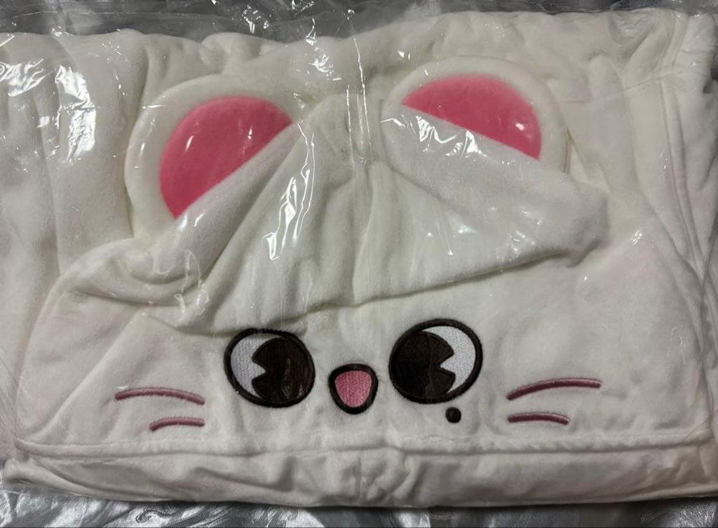 [USED] Stray Kids Skzoo Blanket Genielet Hyunjin