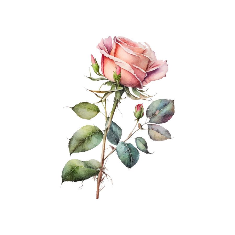 

Waterproof Rose Toilet Lid Self Adhesive Wall Sticker Bathroom Home Decor 21x30cm різнокольоровий