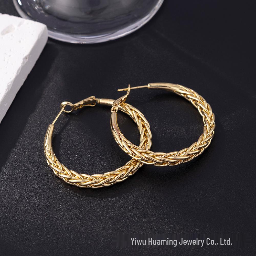 Silver Needle Circle Earrings, Fashionable High-End Copper Ear Hoops, Light Luxury, Versatile Jewelry Accessory.