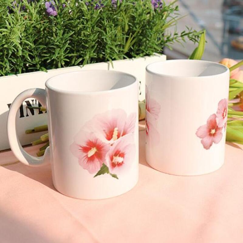 eh173-Design Mug 2p-Korean Rose of Sharon
