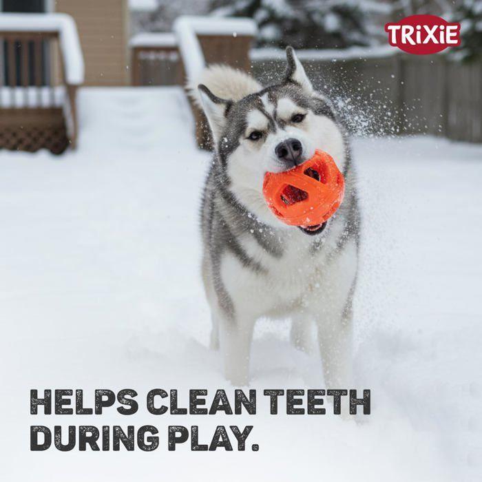 Balle en nid d'abeille - TRIXIE - 40 g - Sans batteries - 1 pièce - Modèle 33543