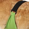 Hooded Design Pet Rain Cloak Dirt-Resistant Frog Pet Poncho Fashion Dog Rain Jumpsuit  Large Dogs