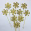 10pc/set Wholesale Snowflake Cupcake Toppers Baby Girl Frozen Birthday Party Decoration Kids Christmas Cake Supplies Accessories