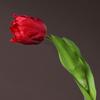 Flores de Tulipán Artificiales Tacto Real Tulipán de Tallo Largo Ramo con Hojas para Ramo de Boda Arreglo Floral de Primavera Decoración de Mesa para el Hogar
