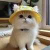 Summer Pet Cat Sun Hat with Ear Holes - Cute Kitten Fisherman Cap for UV Protection, Breathable Outdoor Sunshade Cap for Cats