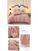 Class A Winter Double-Sided Velvet Coral Fleece Quilt Cover and Bed Sheet Set (4-Piece)