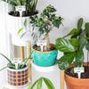 50-200PCS T-shaped Plant Labels PVC Waterproof Nursery Garden Plant Labels Reusable Wooden Stake Labels Potted Plant Markers