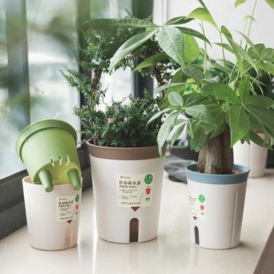Deko & Wohnaccessoires – Dekorative Blumentöpfe