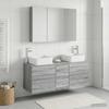 Bathroom Furniture Set 4 pcs Grey Sonoma Engineered Wood and Glass